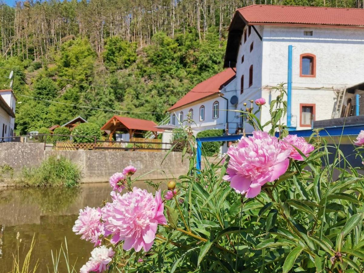 Hrebecniky Cechuv Mlyn 아파트 외부 사진